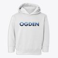 Ogden New York Cool Breeze Toddler Hoodie additional view 1