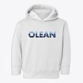 Olean New York Cool Breeze Toddler Hoodie additional view 1