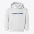 Bellingham Washington Cool Breeze Toddler Hoodie additional view 1