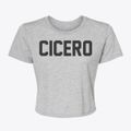 Cicero Indiana Classic Block Women's Crop Top additional view 1