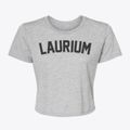 Laurium Michigan Classic Curve Women's Crop Top additional view 1