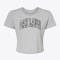Oak Lawn Illinois Trendy Block Women's Crop Top additional view 1