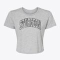 Sturgeon Missouri Trendy Block Women's Crop Top additional view 1