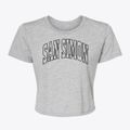 San Simon Arizona Trendy Block Women's Crop Top additional view 1