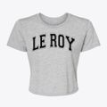 Le Roy Michigan Varsity Women's Crop Top additional view 1