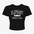 Elephant Pennsylvania Classic Established Women's Crop Top additional view 1