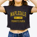 Mapledale Pennsylvania Classic Established Women's Crop Top additional view 3