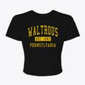 Waltrous Pennsylvania Classic Established Women's Crop Top additional view 1