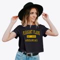 Pleasant Plains Arkansas Classic Established Women's Crop Top additional view 2