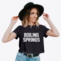 Boiling Springs North Carolina Classic Block Women's Crop Top additional view 2