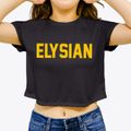 Elysian Minnesota Classic Block Women's Crop Top additional view 3
