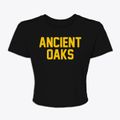 Ancient Oaks Pennsylvania Classic Block Women's Crop Top additional view 1