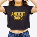 Ancient Oaks Pennsylvania Classic Block Women's Crop Top additional view 3