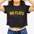 Big Flats Wisconsin Classic Curve Women's Crop Top additional view 3