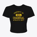 Chamisal New Mexico Athletic Dept Women's Crop Top additional product view 1