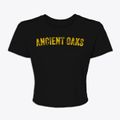 Ancient Oaks Pennsylvania Timeless Retro Women's Crop Top additional view 1