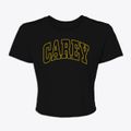 Carey Idaho Trendy Block Women's Crop Top additional view 1