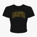 Decatur Nebraska Trendy Block Women's Crop Top additional view 1