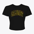 Calumet Minnesota Trendy Block Women's Crop Top additional view 1