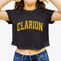 Clarion Pennsylvania Varsity Women's Crop Top additional view 3