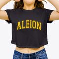Albion Michigan Varsity Women's Crop Top additional view 3