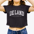 De Land Illinois Urban Vibe Women's Crop Top additional view 3