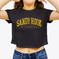 Sandy Hook Wisconsin Urban Vibe Women's Crop Top additional view 3
