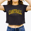 Cantrall Illinois Urban Vibe Women's Crop Top additional view 3