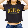 Big Flat Arkansas Urban Vibe Women's Crop Top additional view 3