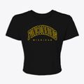 Pinconning Michigan Inline Women's Crop Top additional view 1