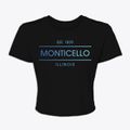 Monticello Illinois Horizon Women's Crop Top additional view 1