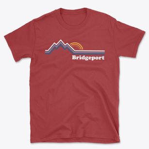 Bridgeport Michigan Mountain View Basic T-Shirt