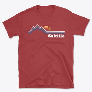 Saltillo Pennsylvania Mountain View Basic T-Shirt