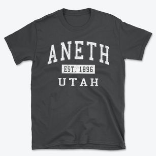 Aneth Utah Classic Established Basic T-Shirt