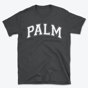 Palm Elementary School Varsity Arch Basic T-Shirt