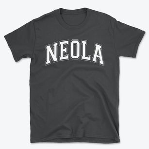 Neola Elementary School Varsity Arch Basic T-Shirt