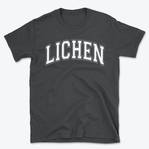 Lichen Elementary School Varsity Arch Basic T-Shirt