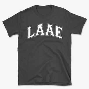Los Angeles Academy Of Arts & Enterprise Varsity Arch Basic T-Shirt