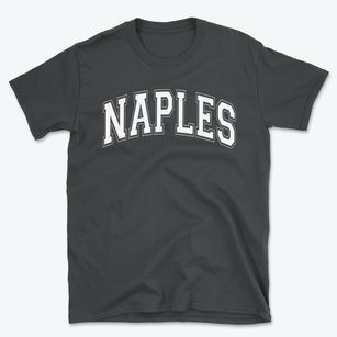 Naples Sda Christian School Varsity Arch Basic T-Shirt