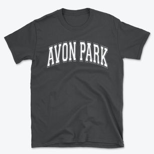 Avon Park High School Varsity Arch Basic T-Shirt