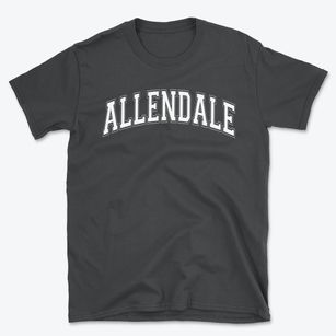 Allendale Elementary School Varsity Arch Basic T-Shirt