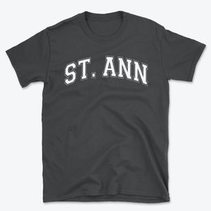 Saint Ann Catholic School Varsity Arch Basic T-Shirt