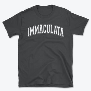 Immaculata Elementary School Varsity Arch Basic T-Shirt