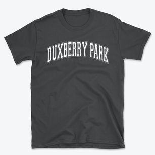 Duxberry Park Alternative Elementary Varsity Arch Basic T-Shirt