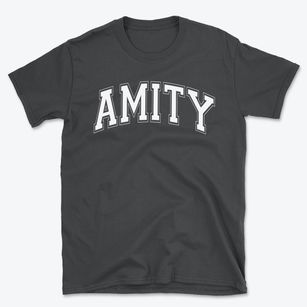 Amity Elementary School Varsity Arch Basic T-Shirt