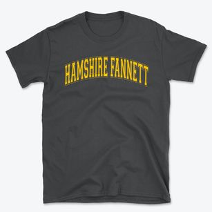 Hamshire Fannett Intermediate School Varsity Arch Basic T-Shirt