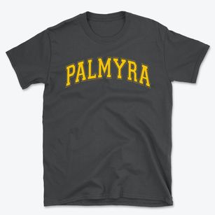 Palmyra Christian Academy Varsity Arch Basic T-Shirt