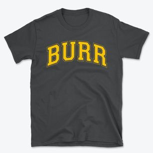 Burr Intermediate School Varsity Arch Basic T-Shirt