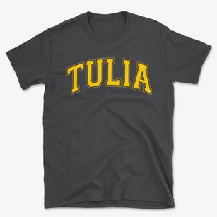 Tulia Junior High School Varsity Arch Basic T-Shirt