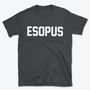 Esopus New York Classic Block Basic T-Shirt